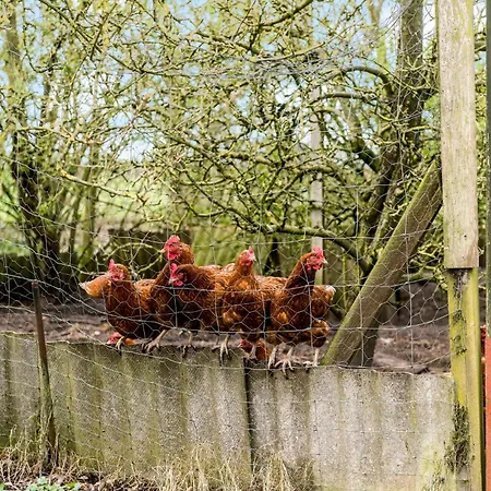 別荘 In With Wifi *